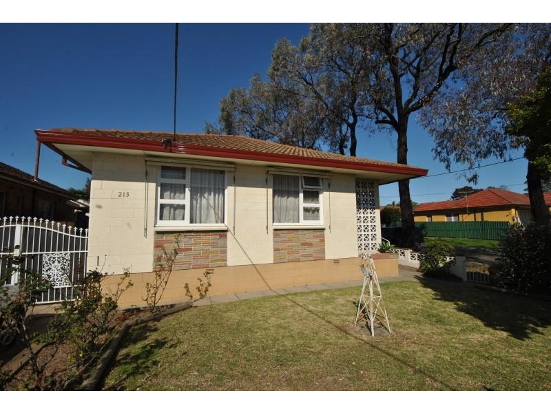 213 Hector St, Sefton NSW 2162
