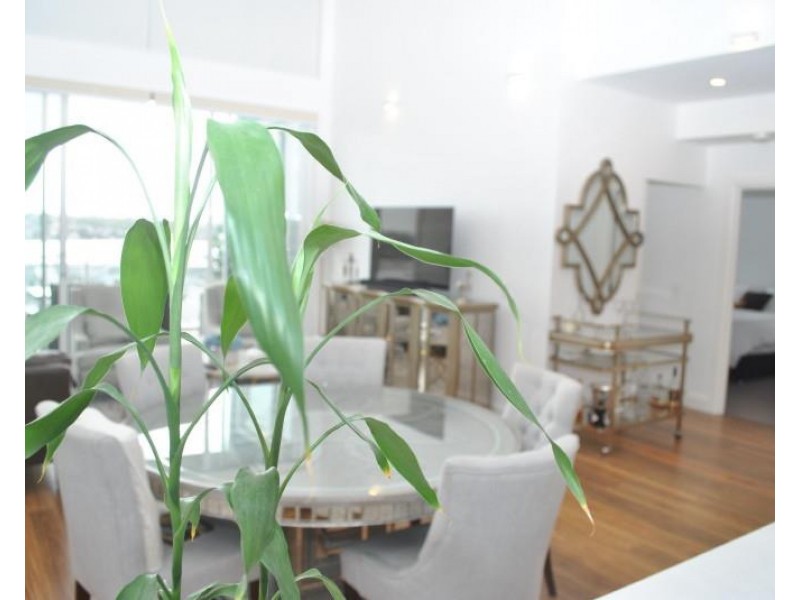 904/17 Woodlands Avenue, Breakfast Point NSW 2137