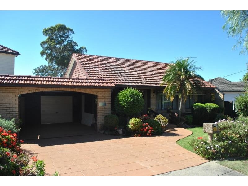 3 Holden St, Chester Hill NSW 2162