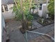 45 Australia Street, Bass Hill NSW 2197
