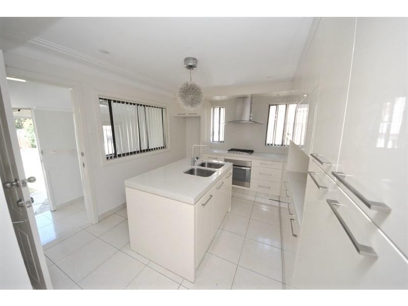 55 Elliston Street, Chester Hill NSW 2162