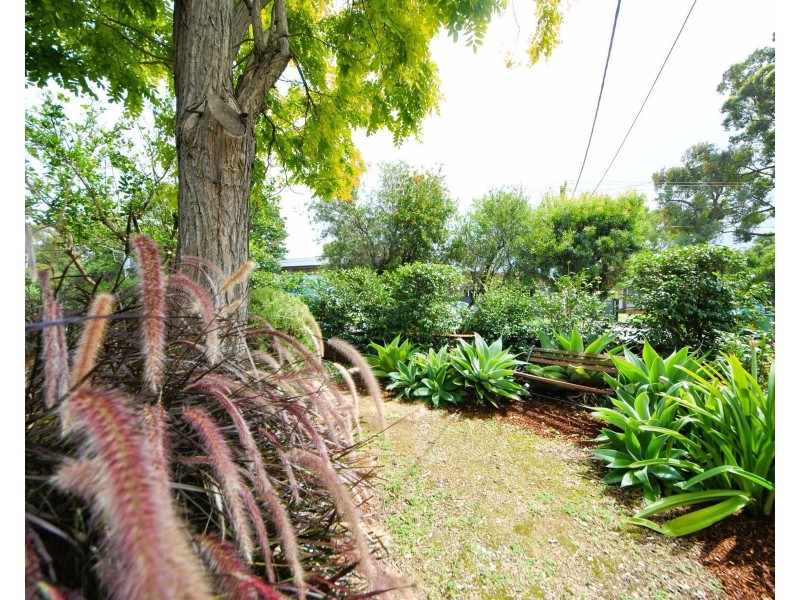 8 Chiswick Road, South Granville NSW 2142