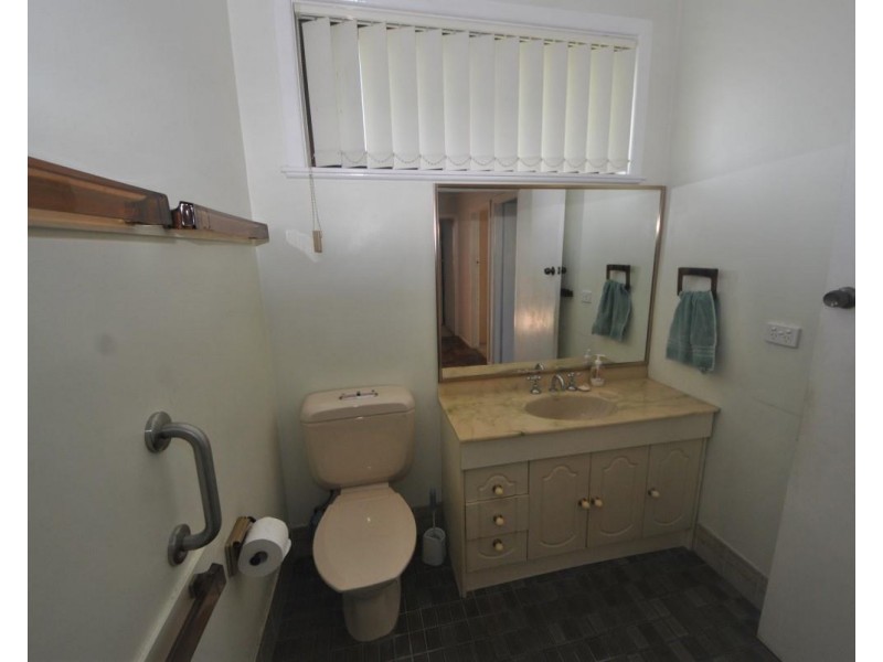 1 Mcclelland Street, Chester Hill NSW 2162