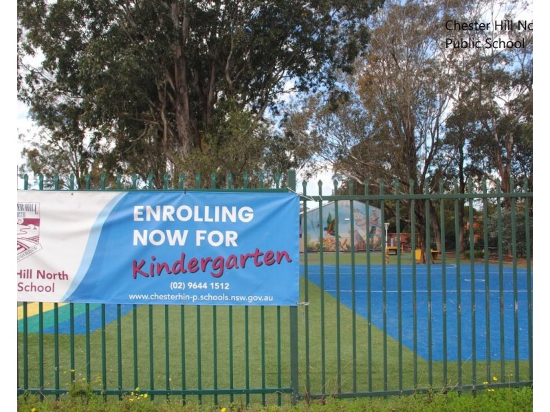 16 Gough Avenue, Chester Hill NSW 2162