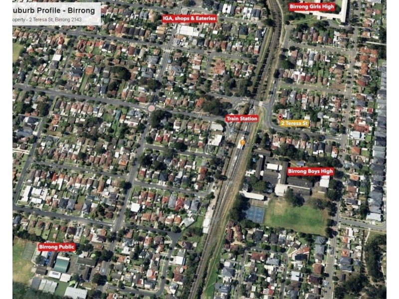 2 Teresa Street, Birrong NSW 2143