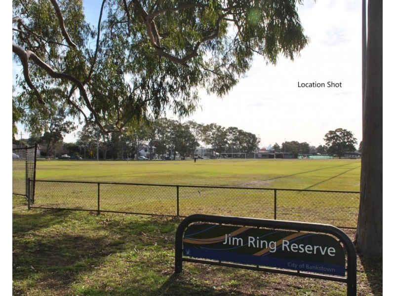 2 Teresa Street, Birrong NSW 2143