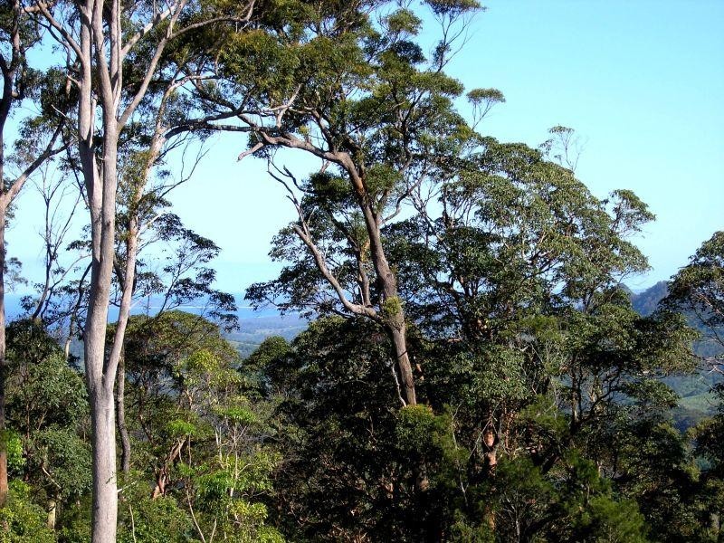 Crabbes Creek NSW 2483