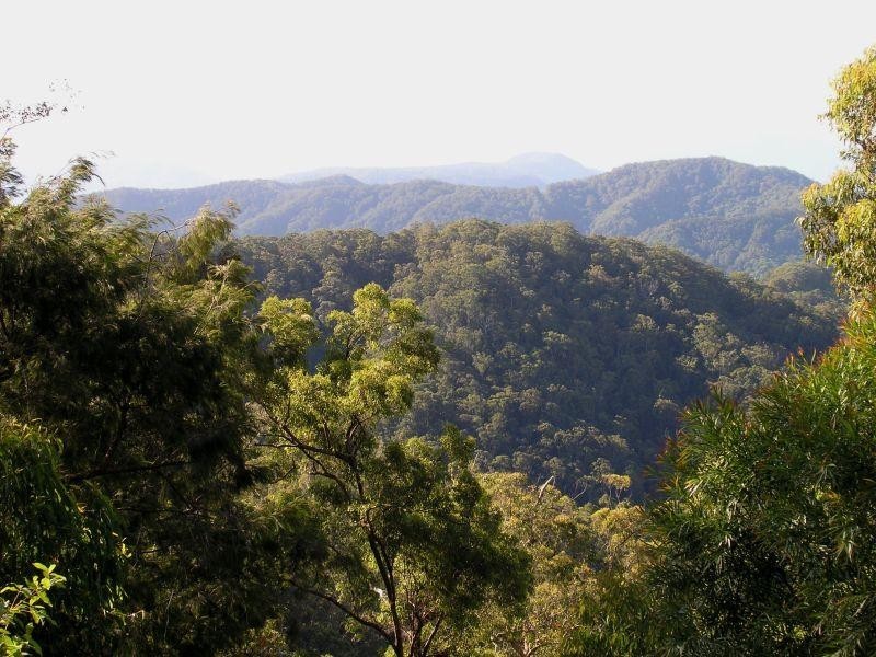 Crabbes Creek NSW 2483