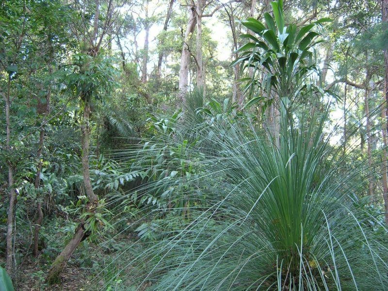 Crabbes Creek NSW 2483