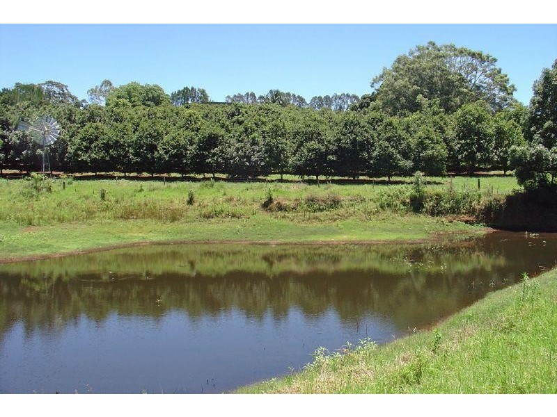 Dunoon NSW 2480