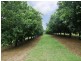Dunoon NSW 2480