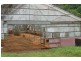 Dunoon NSW 2480