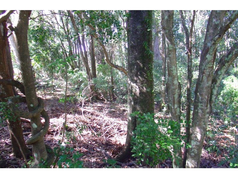 Possum Creek NSW 2479