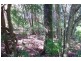 Bangalow NSW 2479
