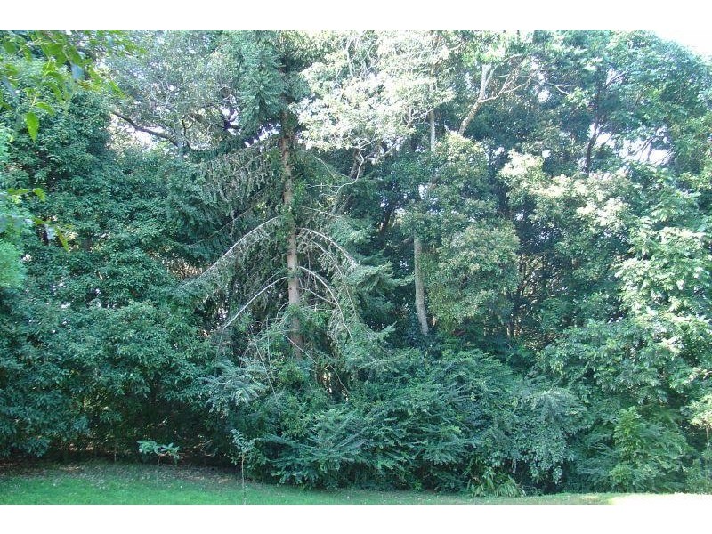 Bangalow NSW 2479