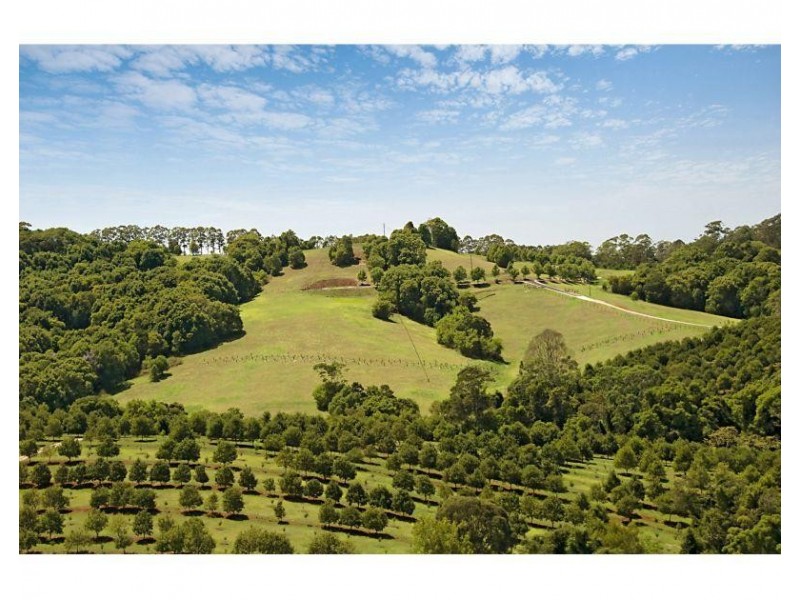 Lot  4 Teak  Lane, Federal NSW 2480