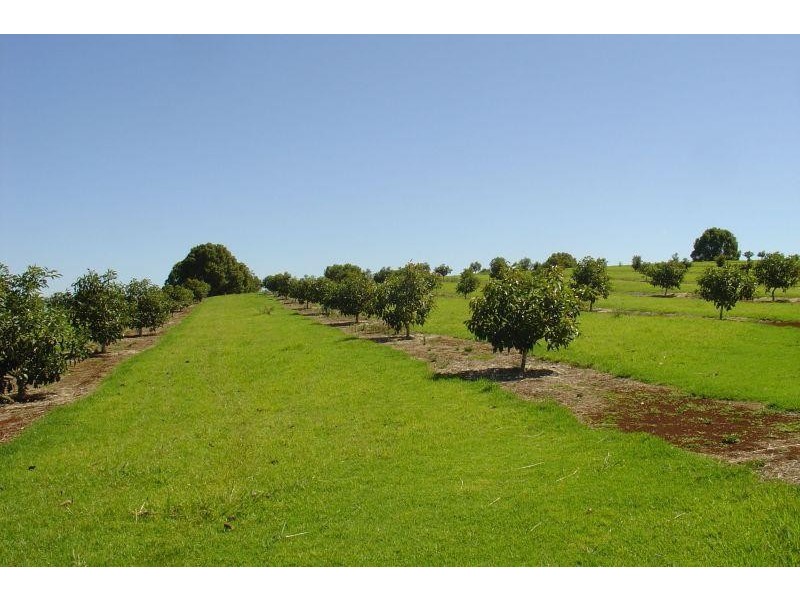 Whian Whian NSW 2480