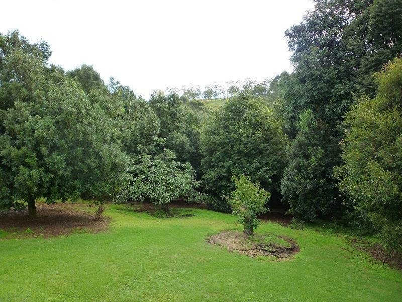 Fernleigh NSW 2479