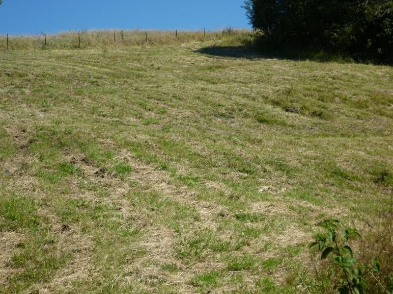 12 Julieanne Pl, Bexhill NSW 2480