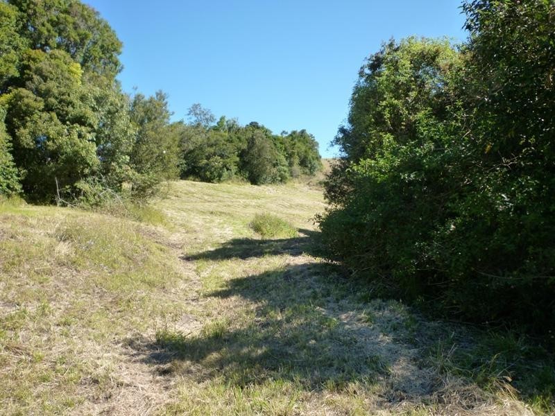Bexhill NSW 2480