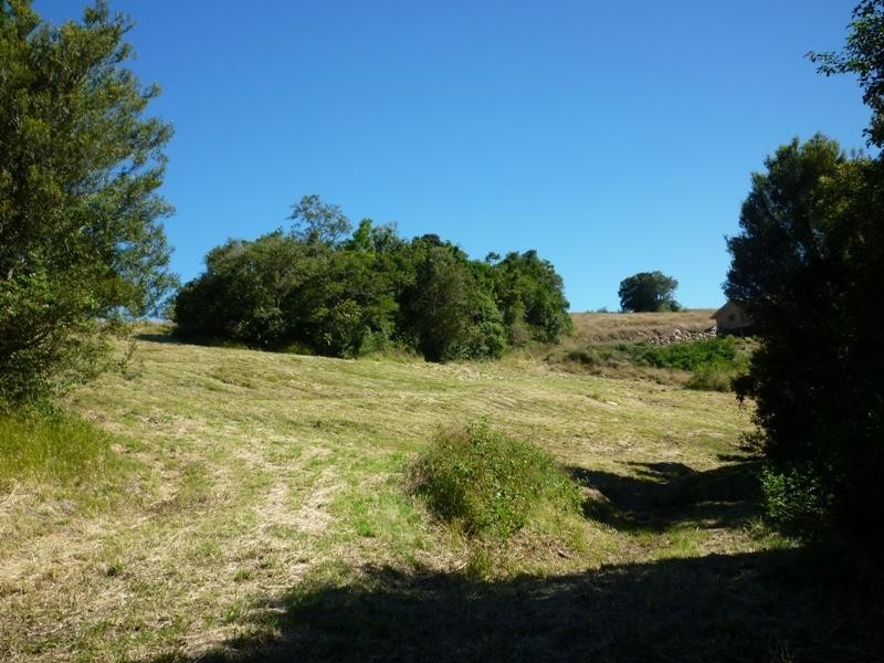 Bexhill NSW 2480