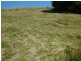 Bexhill NSW 2480