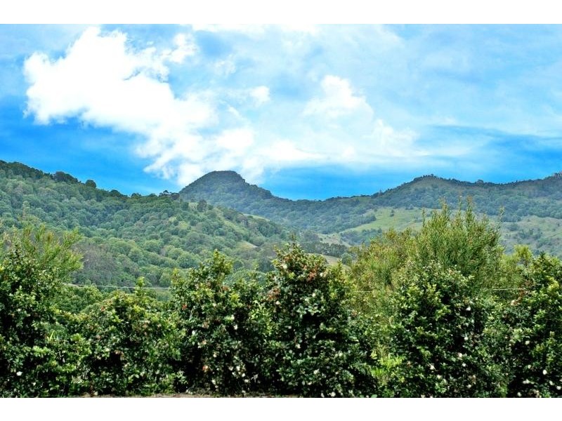 Billinudgel NSW 2483