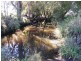 Kyogle NSW 2474