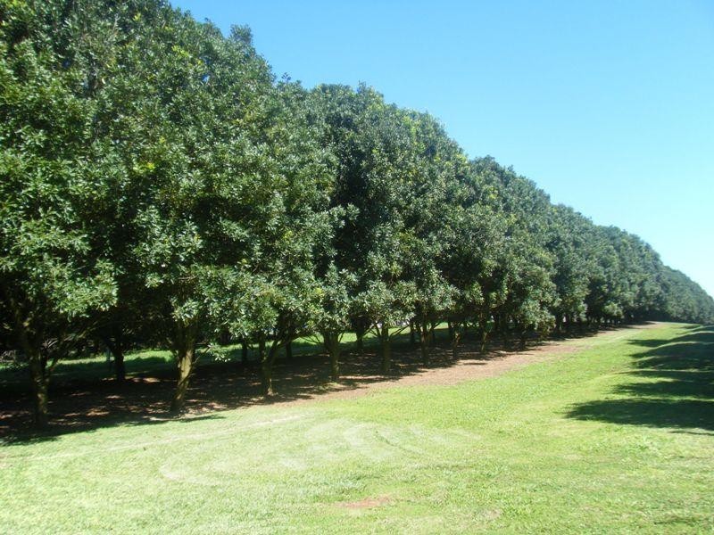 Alstonville NSW 2477