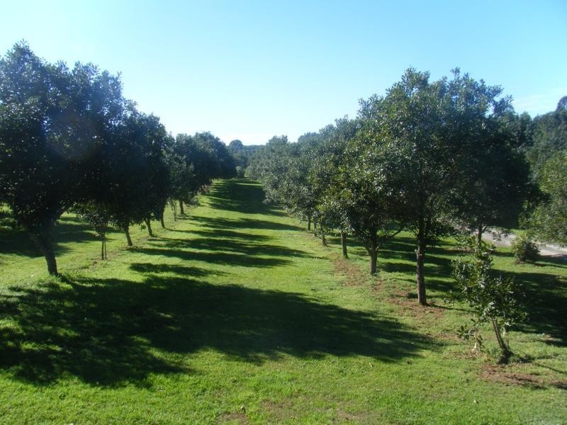 Alstonville NSW 2477