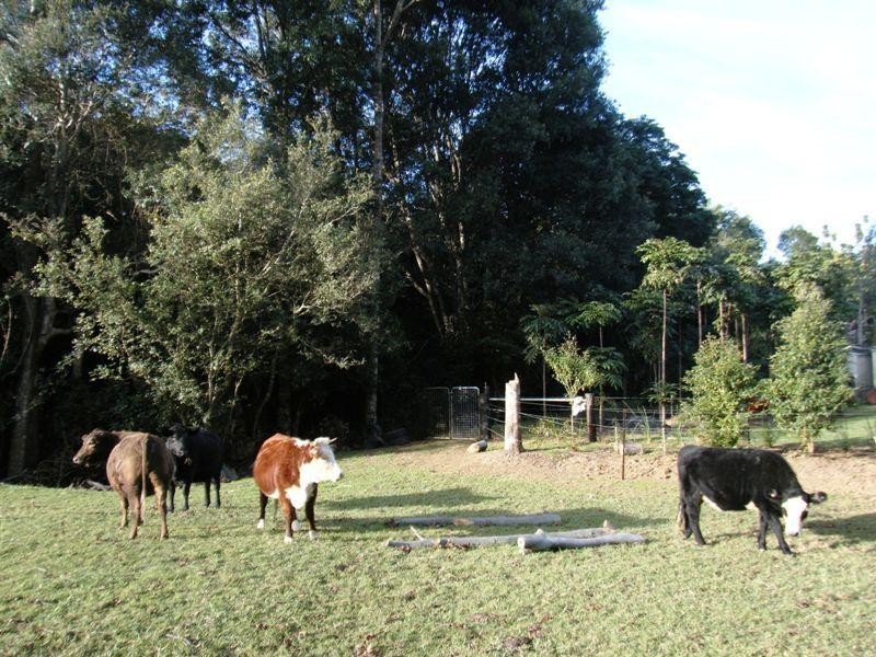 Mullumbimby NSW 2482