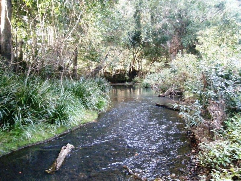 Mullumbimby NSW 2482