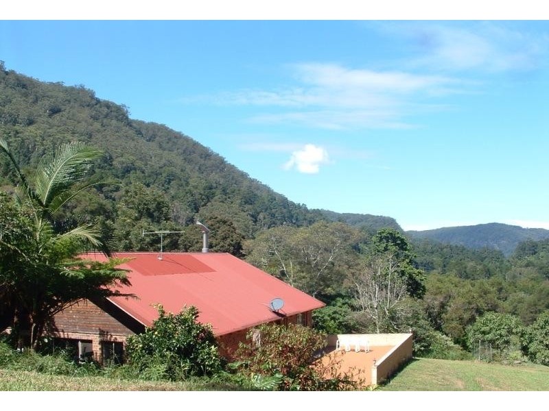 Wilsons Creek NSW 2482