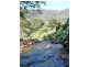 Wilsons Creek NSW 2482