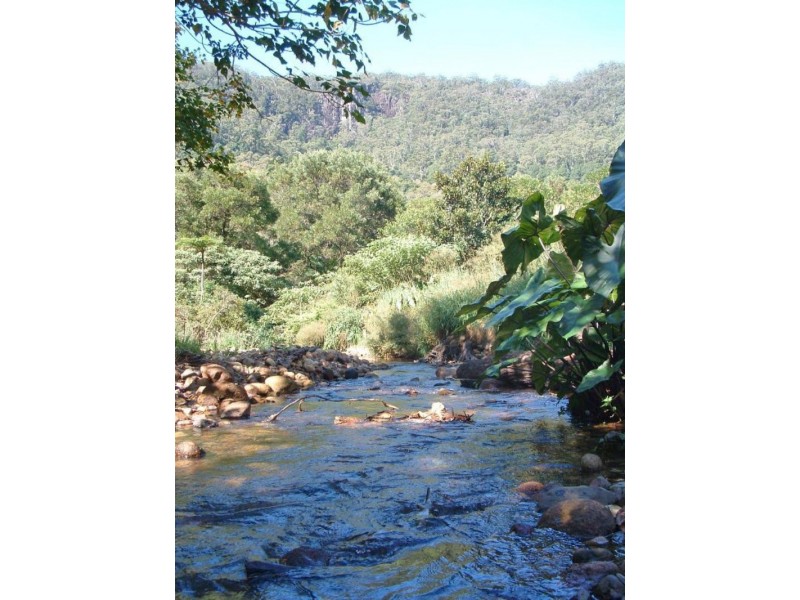 Wilsons Creek NSW 2482