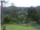 Wilsons Creek NSW 2482