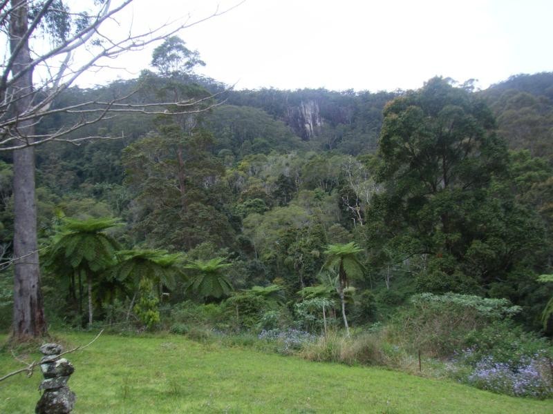 Wilsons Creek NSW 2482