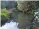 Wilsons Creek NSW 2482