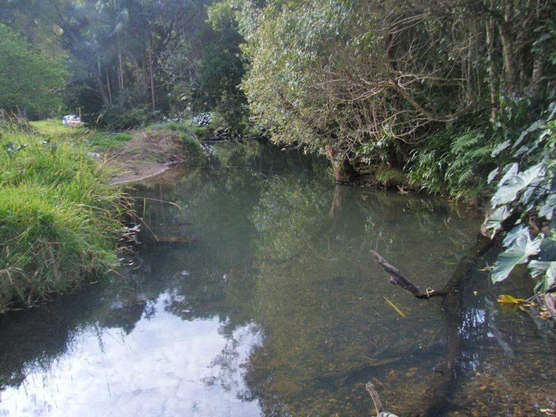 Wilsons Creek NSW 2482