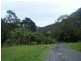 Wilsons Creek NSW 2482
