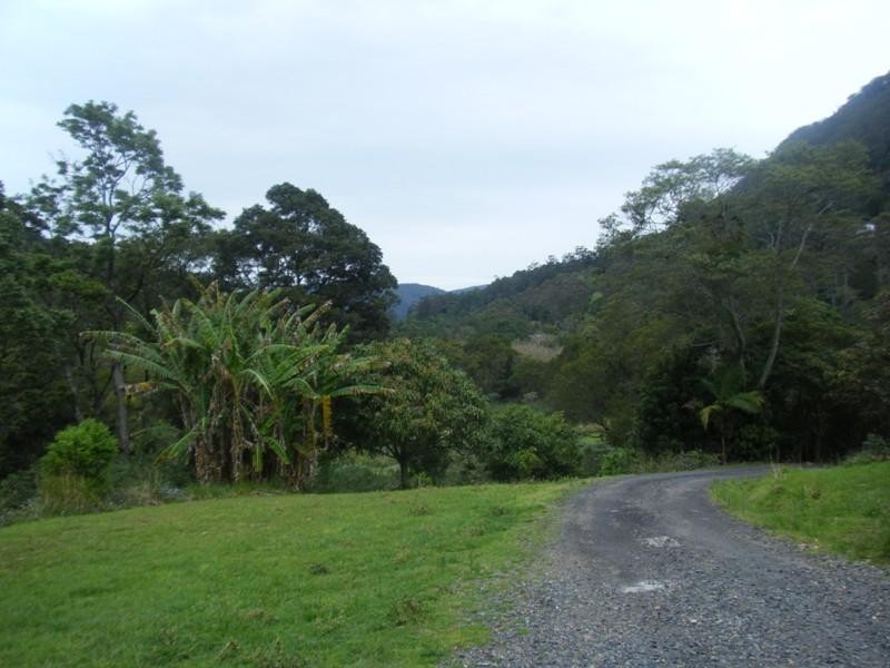 Wilsons Creek NSW 2482