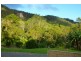 Wilsons Creek NSW 2482