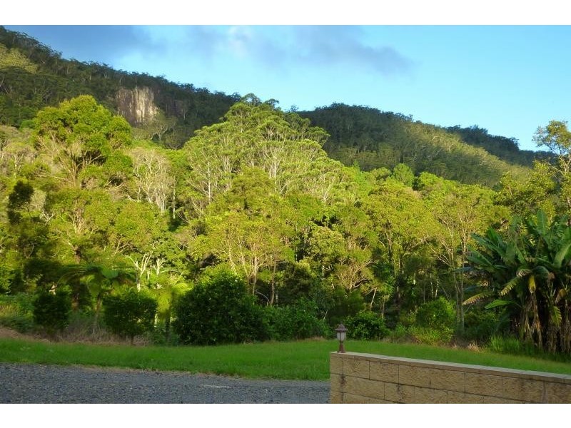 Wilsons Creek NSW 2482