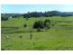 Clunes NSW 2480