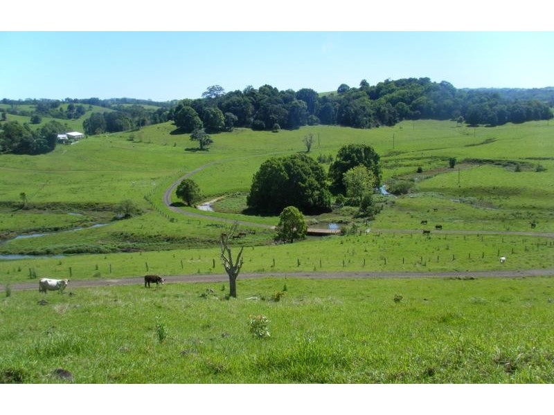 Clunes NSW 2480