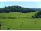 Clunes NSW 2480