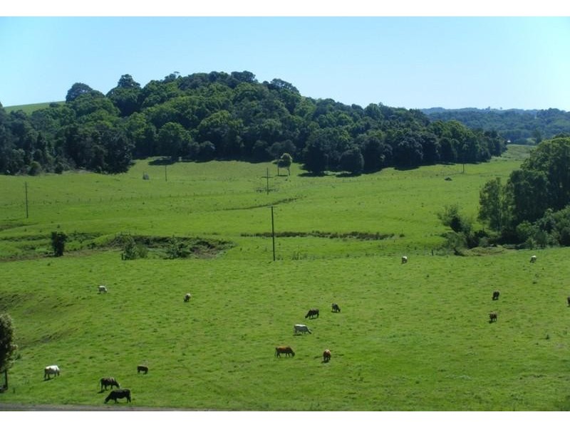 Clunes NSW 2480