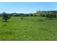 Clunes NSW 2480