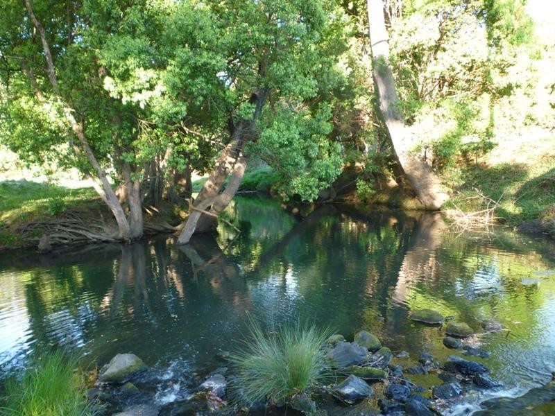 Main Arm NSW 2482