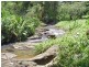 Upper Coopers Creek NSW 2480